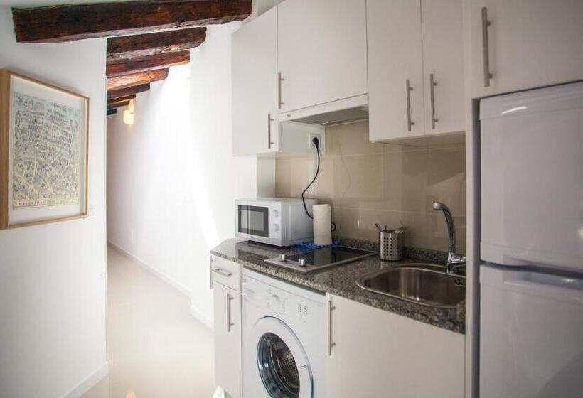 اتاق استاندارد, Apartment In Malasaña