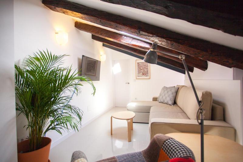 اتاق استاندارد, Apartment In Malasaña