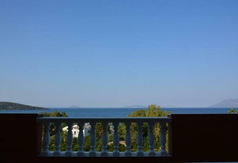 Номер Deluxe Вид на Море, Aristotelis