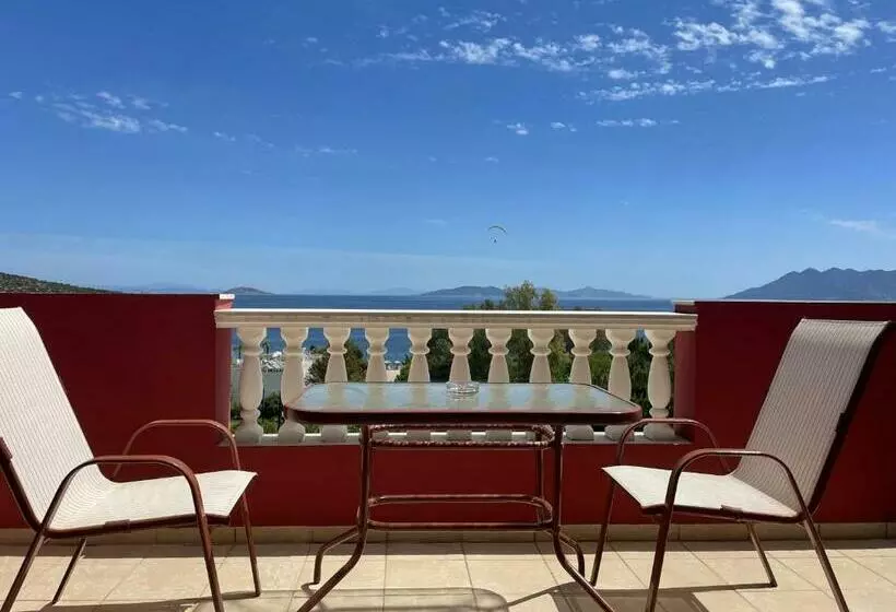 クラシックルーム, Aristotelis