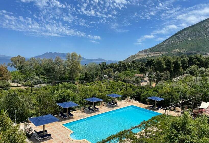 Классический Номер, Aristotelis