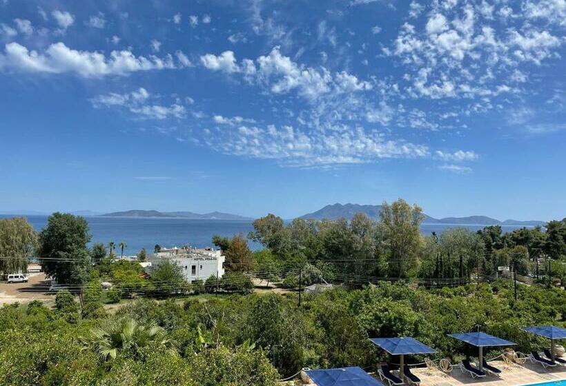 Классический Номер, Aristotelis