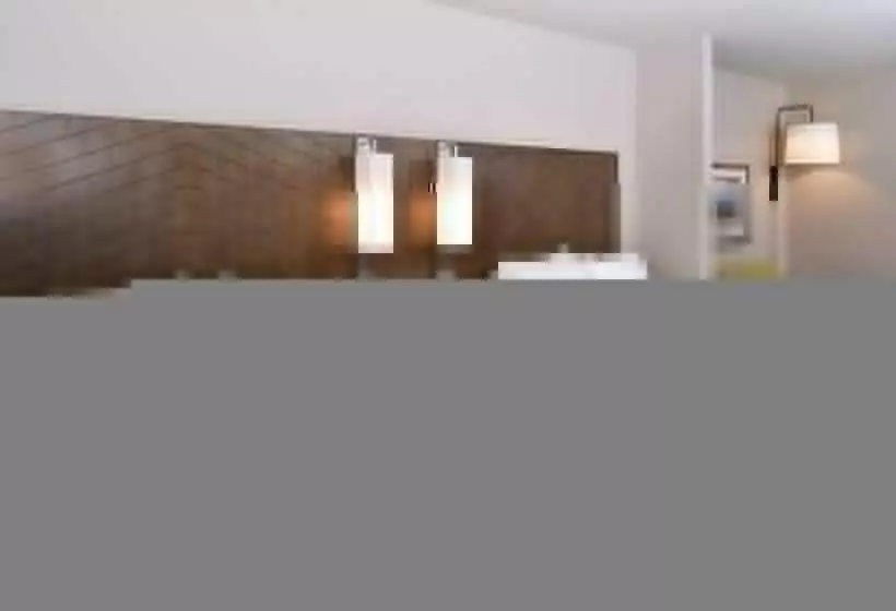 スタンダードルーム, Holiday Inn Express And Suites Bryant   Benton Area, An Ihg
