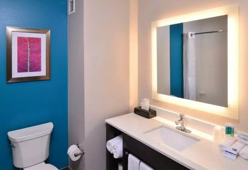 スタンダードルーム, Holiday Inn Express And Suites Bryant   Benton Area, An Ihg