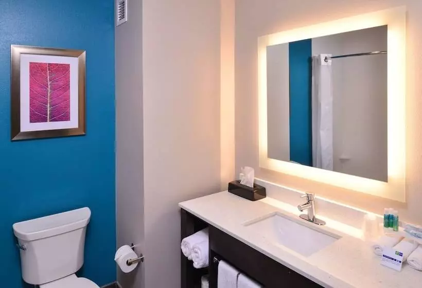 身障者適用スイートルーム, Holiday Inn Express And Suites Bryant   Benton Area, An Ihg
