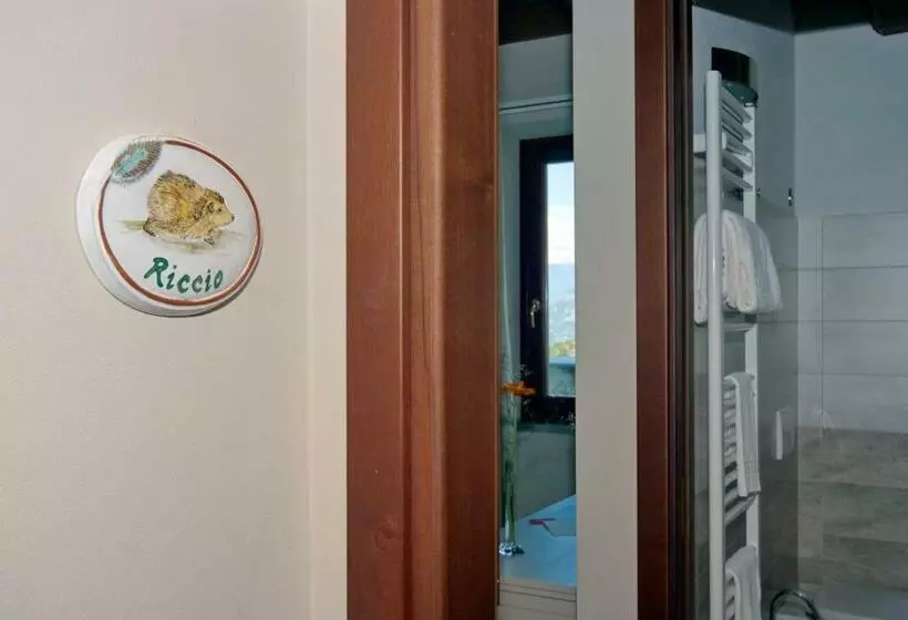 スタンダードシングルルーム, Il Falco E La Volpe