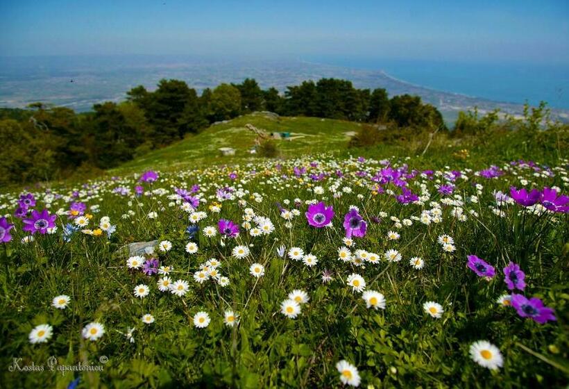 غرفة قياسية ثلاثية مزودة بشرفة, Olympus Hotel Villa Drosos