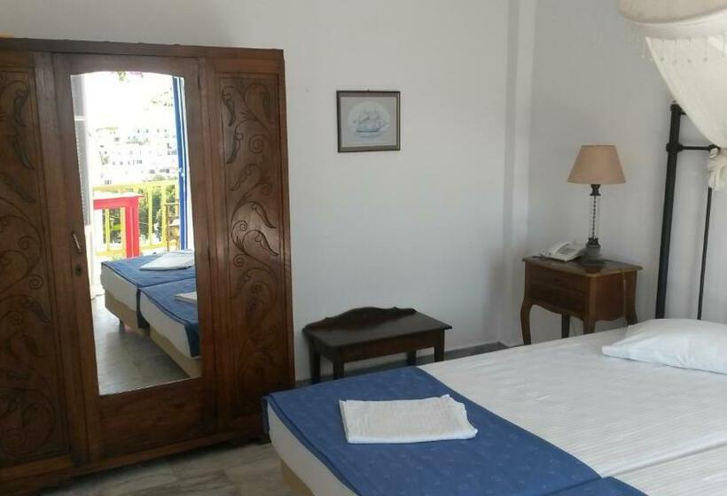 スタンダードルーム, Papadakis