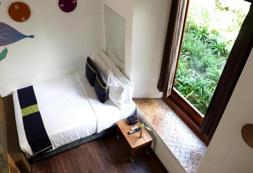 스탠다드 룸, Sereno