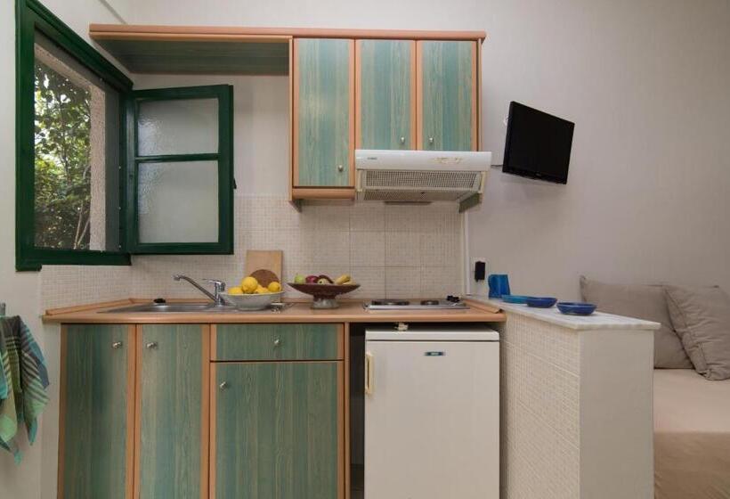 استودیو استاندارد با چشم‌انداز دریا, Lemonia Accommodations