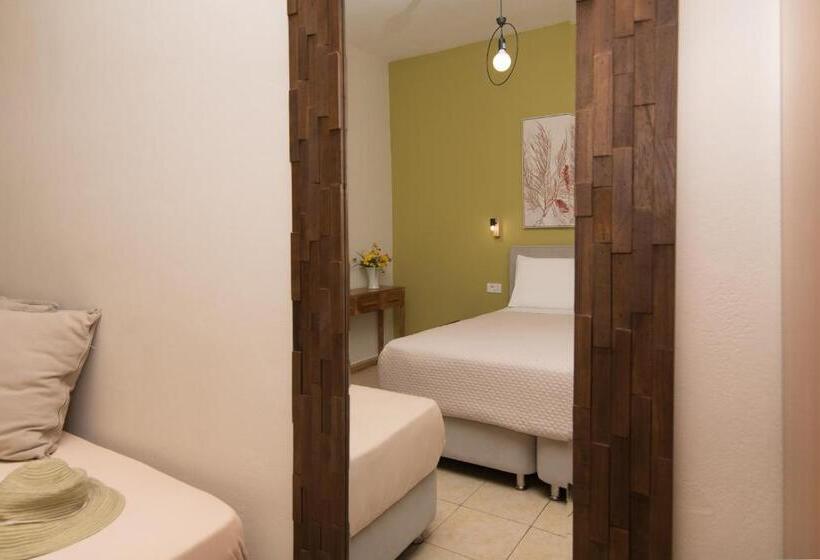 استودیو استاندارد با چشم‌انداز دریا, Lemonia Accommodations