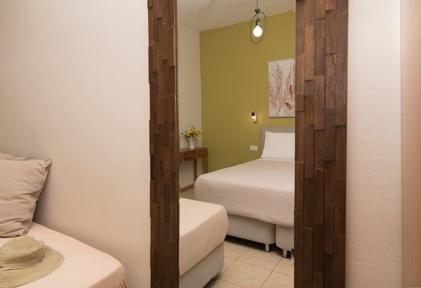 استودیو استاندارد با چشم‌انداز دریا, Lemonia Accommodations