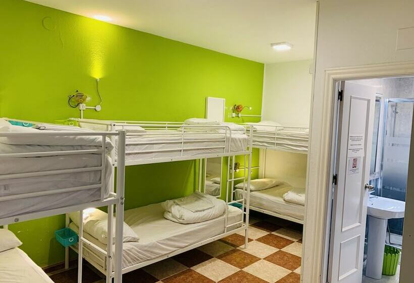 تختخواب در اتاق مشترک, Oh! My Hostel