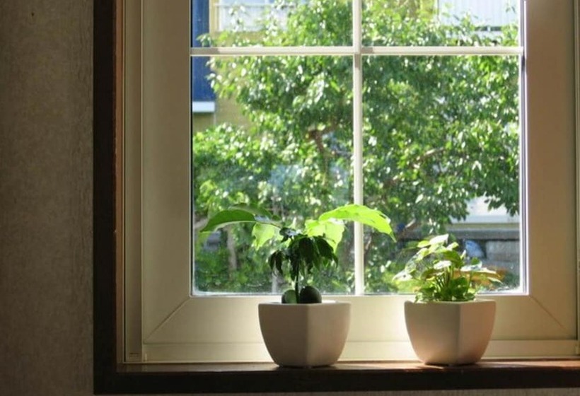 Habitació Economy, Pension Lavender