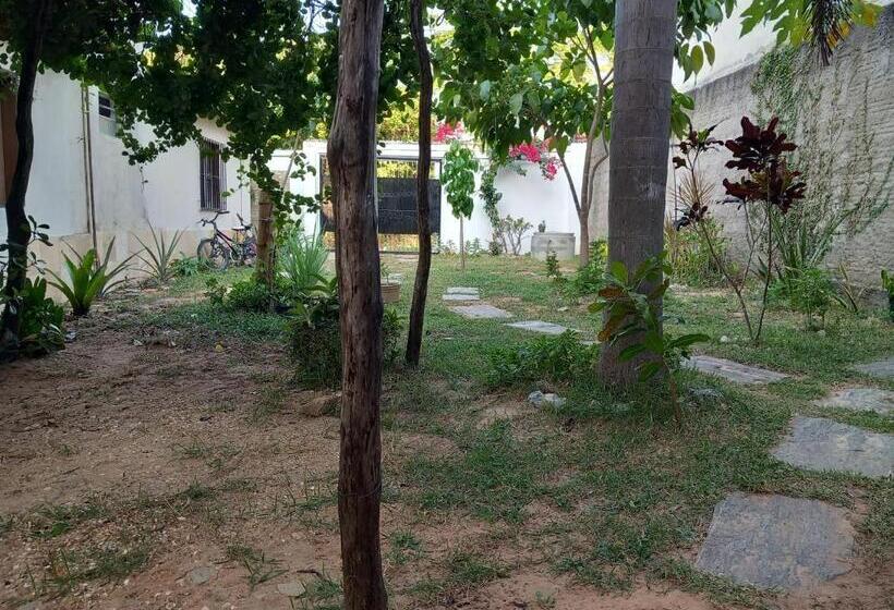 Номер Стандарт, B&b Pedra Do Meio