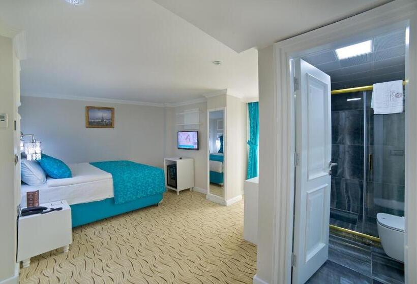 اتاق استاندارد با چشمانداز شهر, Glamour Hotel Istanbul Sirkeci