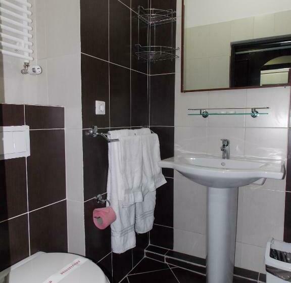 Студия Стандарт, Zimbru