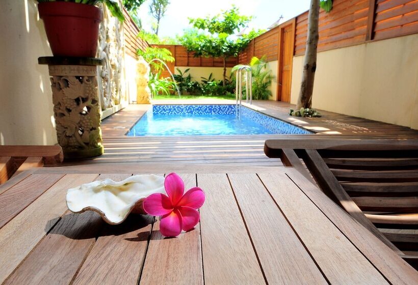 ویلای 1 خوابه, Howard Villa