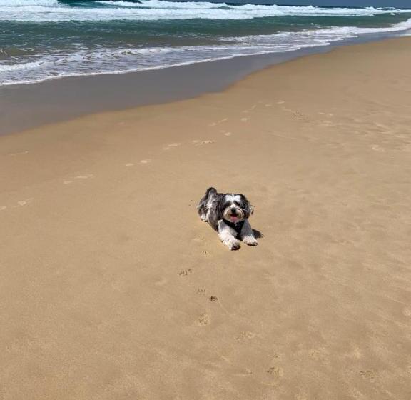 ３ベッドルームハウス, Saltwater Villas  Pet Friendly Accommodation