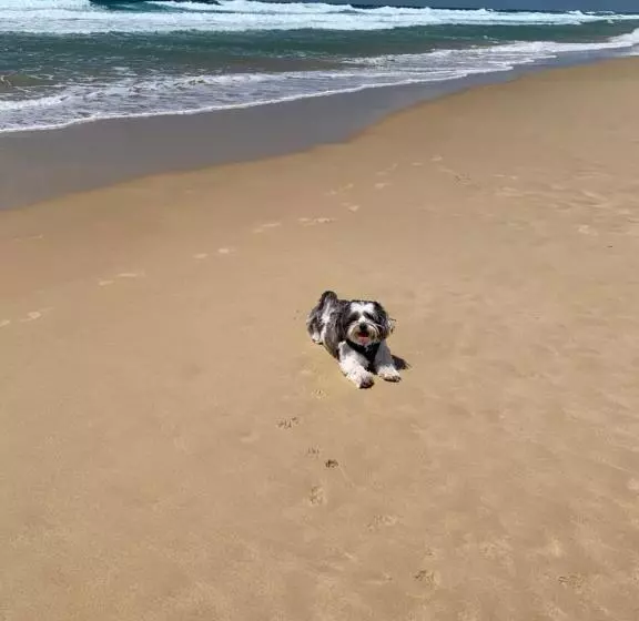 ガーデンビューのスタンダードワンルーム, Saltwater Villas  Pet Friendly Accommodation