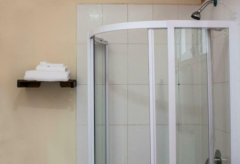 اتاق اکونومی یک تخته, La Bellota