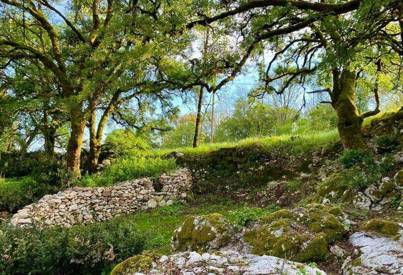 高级大房间, Le Domaine Quercus