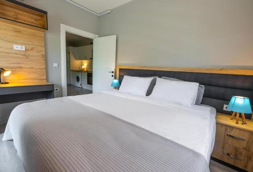 إستوديو قياسى مطلّ علي الحديقة, Zal Sui̇te