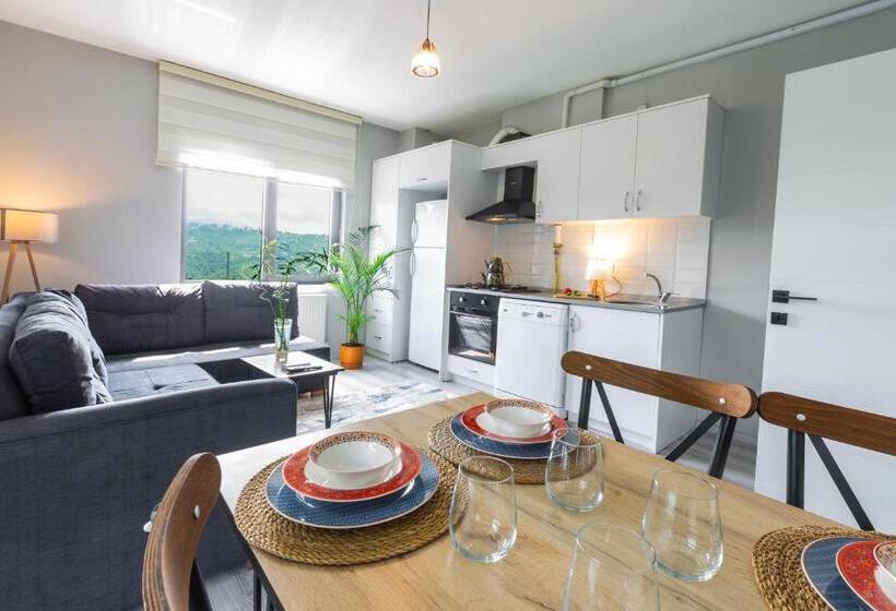 جناح مطلّ علي الجبل, Zal Sui̇te