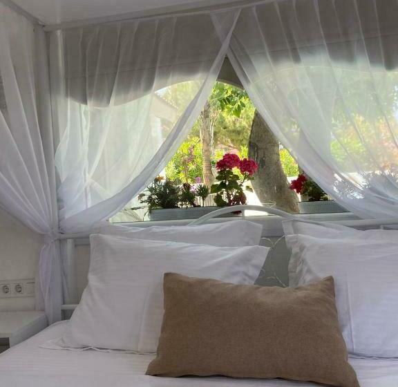 小型套房带泳池景, Flora Boheme