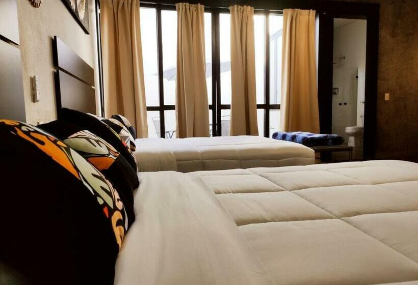 اتاق لوکس, Fascina Inn