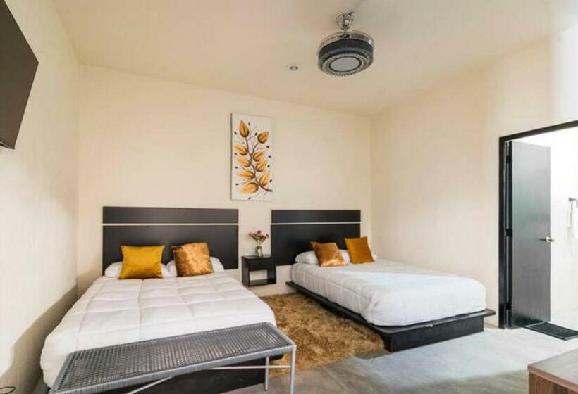 اتاق اکونومی, Fascina Inn