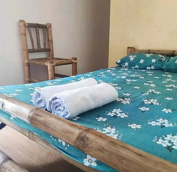 اتاق اکونومی, Rose Apartments