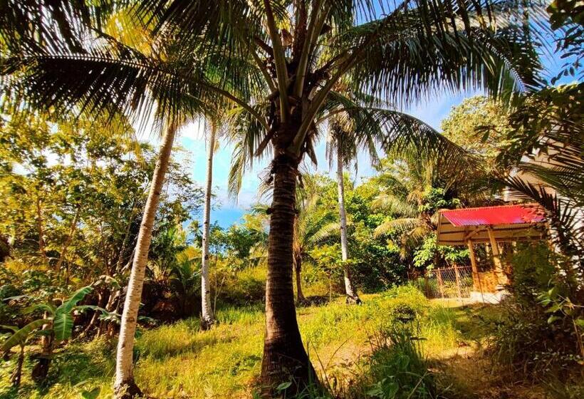 エコノミールーム, Rose Apartments