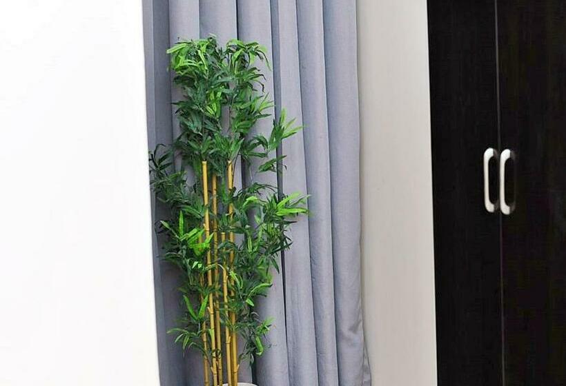 スタンダードルーム, Abi S Place