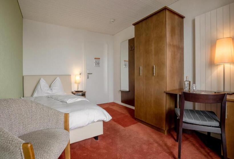 スタンダードシングルルーム, Pension Arosa   Self Check In