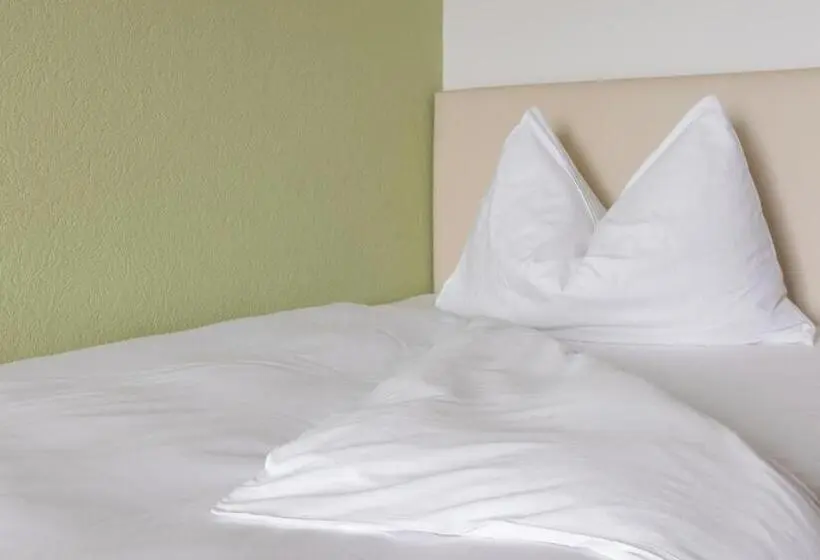 Standard Yhden Hengen Huone, Pension Arosa   Self Check In