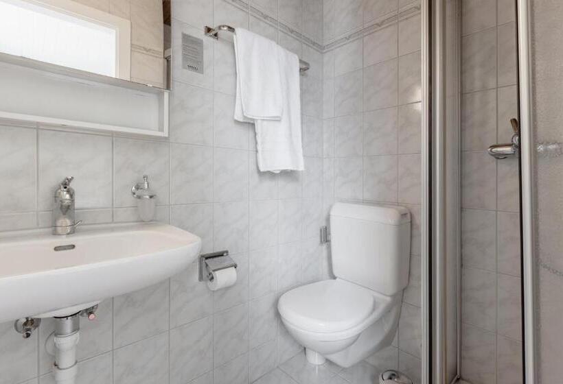 エコノミーシングルルーム, Pension Arosa   Self Check In