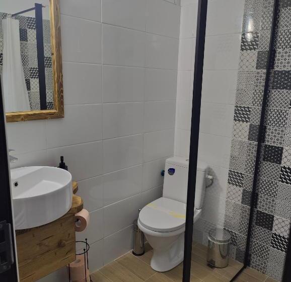 חדר סטנדרט עם מרפסת, Pensiunea Trei Brazi Arieseni