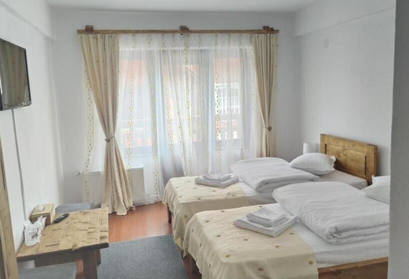 חדר סטנדרט עם מרפסת, Pensiunea Trei Brazi Arieseni