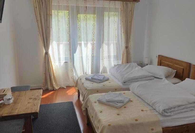 חדר סטנדרט עם מרפסת, Pensiunea Trei Brazi Arieseni