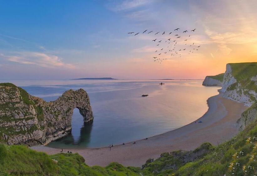 غرفة قياسية حمام مشترك, Cosy Bee And Apartment