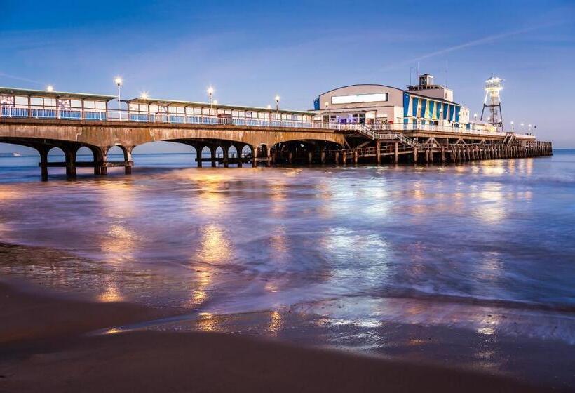 غرفة قياسية فردية حمام مشترك, Cosy Bee And Apartment