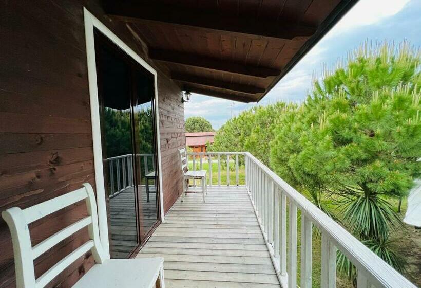 חדר קלאסי לארבעה, Favela Chic Room