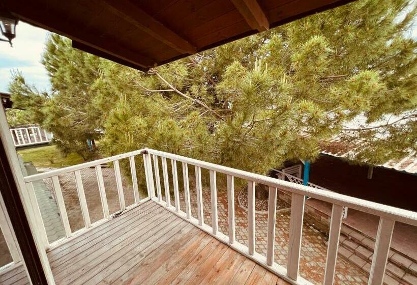 חדר קלאסי לארבעה, Favela Chic Room