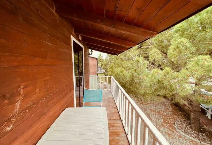 חדר קלאסי לארבעה, Favela Chic Room