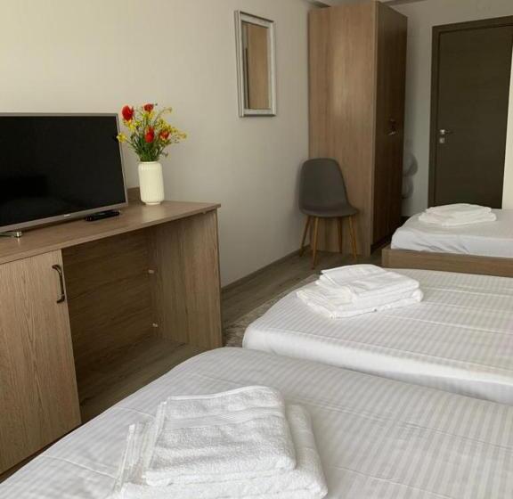 Standard Triple Room with Terrace, Pensiunea Taisia