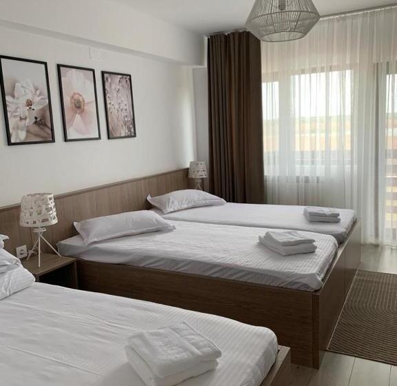 Standard Triple Room with Terrace, Pensiunea Taisia