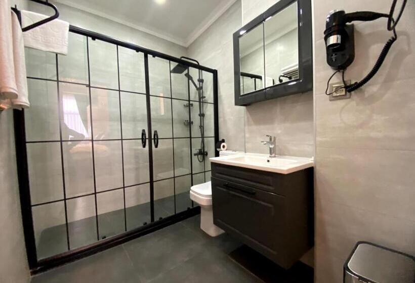 חדר אקונומי, Solomon S Mansion Hotel Istanbul