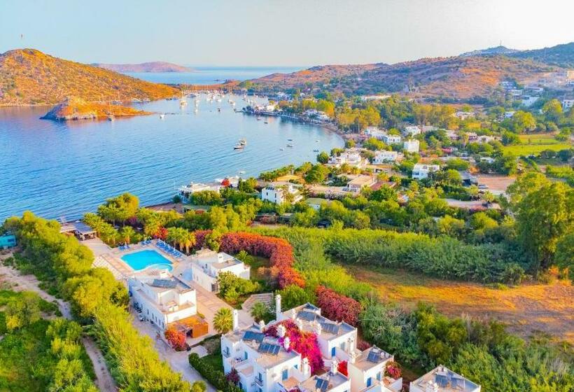 Номер Стандарт, Ladonia Hotels Zemda Gümüşlük