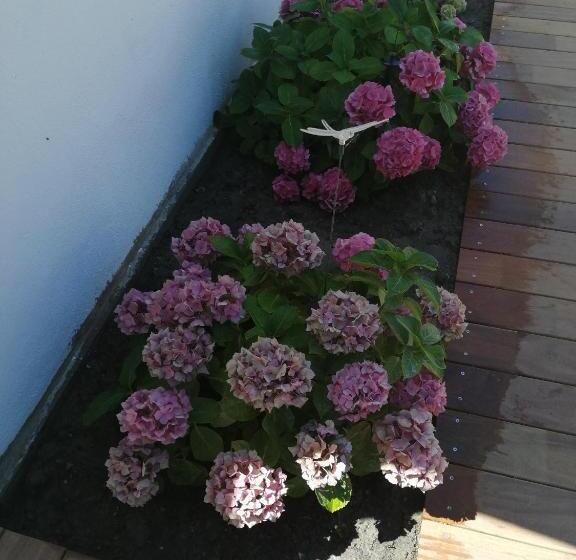 2ベッドスイートルーム, Nataliledeco Bed And Breakfeast